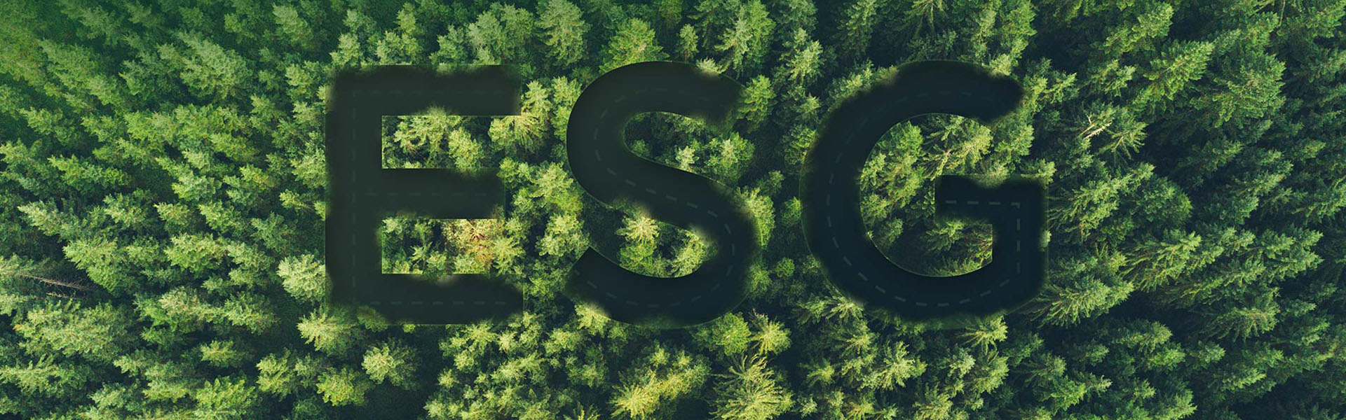 SUSTAINABILITY